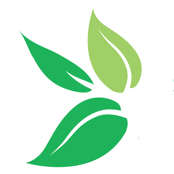 Zest Natural Therapies logo